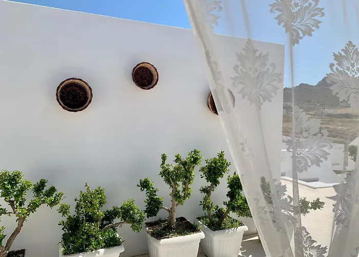 Porta Modern And Hospitable Daire